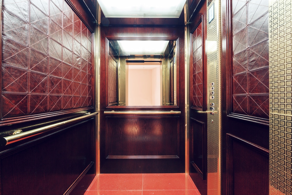 simple anatomy elevator